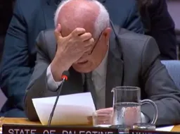 In tears, Palestine's UN envoy implores for end to starvation and wanton Israeli killings in Gaza
